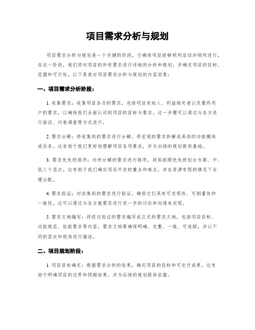 项目需求分析与规划