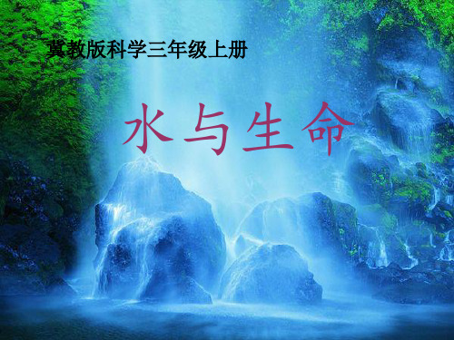 三年级上册科学课件-8《水与生命》 ｜冀教版             (共17张PPT)