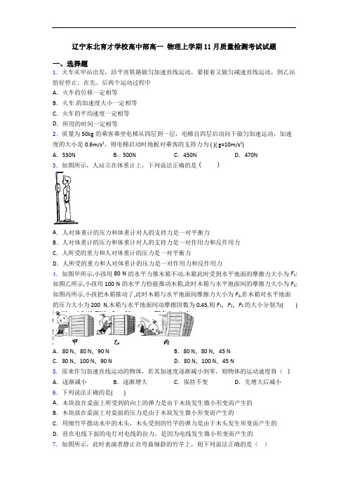 辽宁东北育才学校高中部高一 物理上学期11月质量检测考试试题