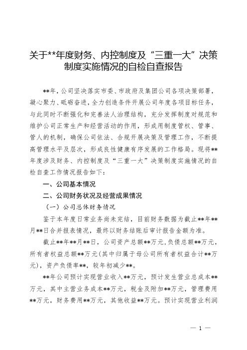 内控、财务、三重一大制度自检自查报告