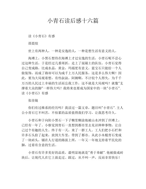 小青石读后感十六篇