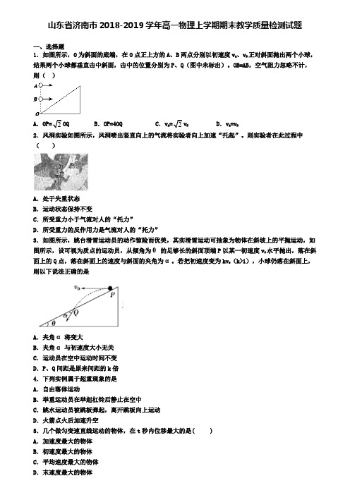 山东省济南市2018-2019学年高一物理上学期期末教学质量检测试题