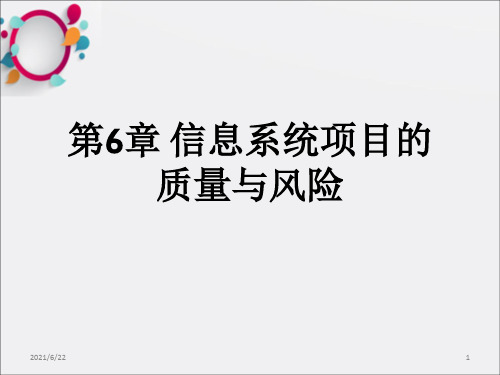 信息系统项目的质量与风险ppt课件