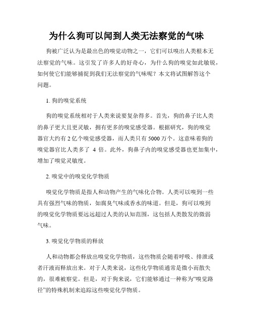 为什么狗可以闻到人类无法察觉的气味