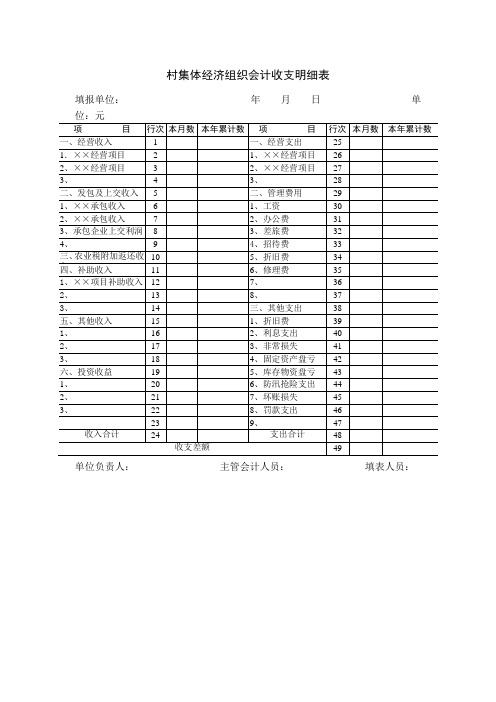 村集体经济组织会计收支明细表