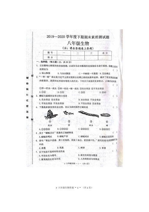 人教版2019-2020八年级下册生物期末真题试卷带答案