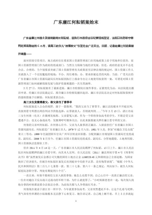 广东廉江何耘韬案始末
