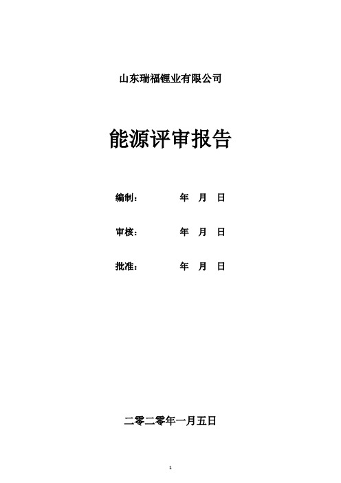 2019年能源评审报告