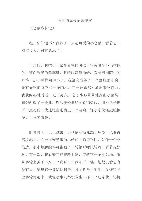 仓鼠的成长记录作文