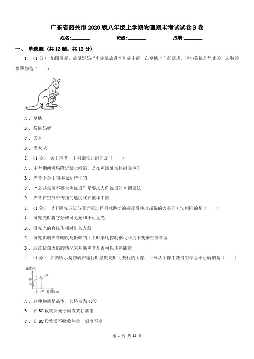广东省韶关市2020版八年级上学期物理期末考试试卷B卷