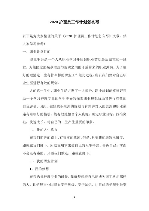 2020护理员工作计划怎么写