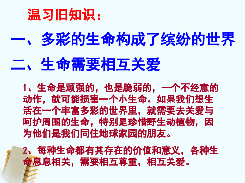 七年级政治上册 第三课第二框 人的生命的独特性 课件 人教新课标版