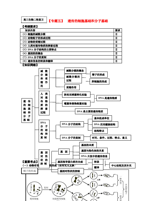 高三生物二轮复习 专题五  细胞的生命历程学案