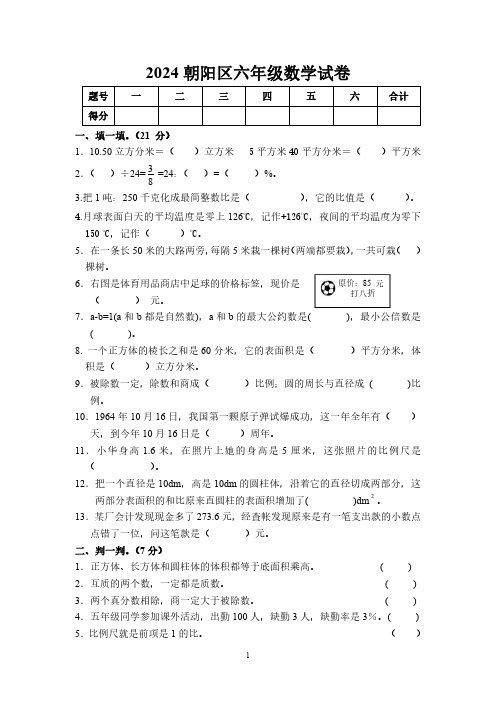 2024朝阳区六年级数学试卷