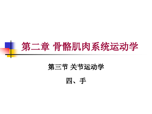 第二章 第三节 关节运动学(四、手)运动学特征