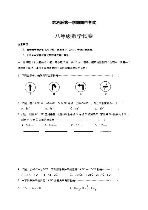 最新2019-2020年度苏科版八年级数学上学期期中考试模拟测试卷及答案解析-精品试题