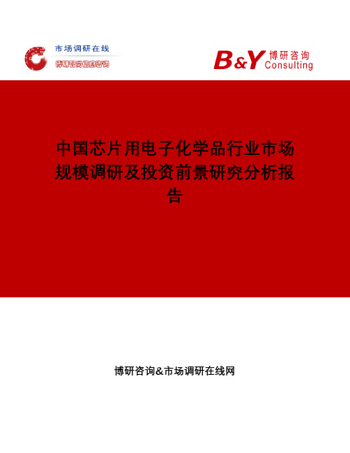 中国芯片用电子化学品行业市场规模调研及投资前景研究分析报告