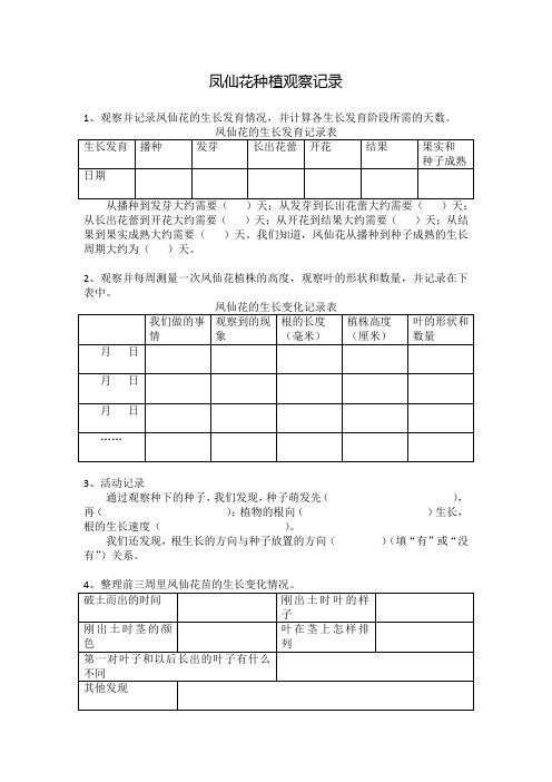 凤仙花种植观察记录