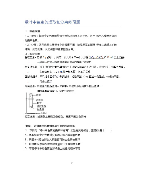 绿叶中色素的提取和分离练习题