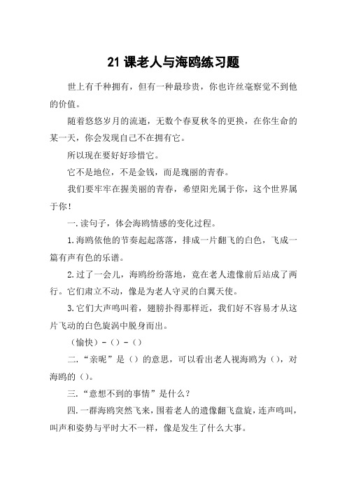 21课老人与海鸥练习题_教案教学设计