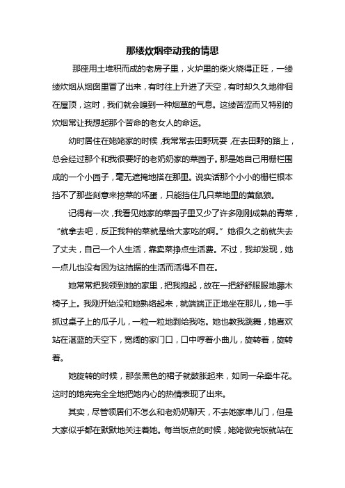 初二作文：那缕炊烟牵动我的情思作文800字