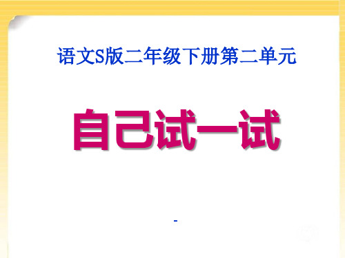 202X语文S版语文二下《自己试一试》ppt课件5