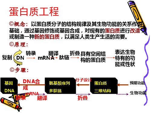 【生物】2.1植物细胞工程课件(人教版选修3)