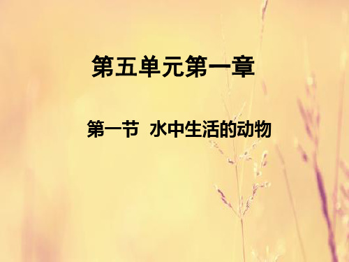 水中生活的动物PPT教学课件