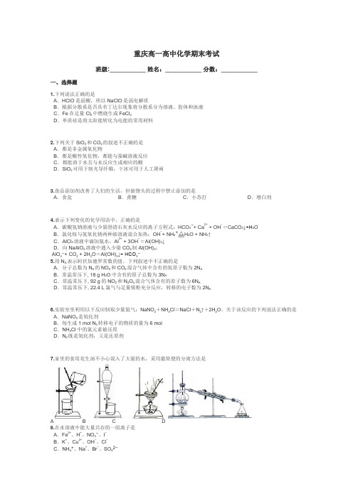 重庆高一高中化学期末考试带答案解析
