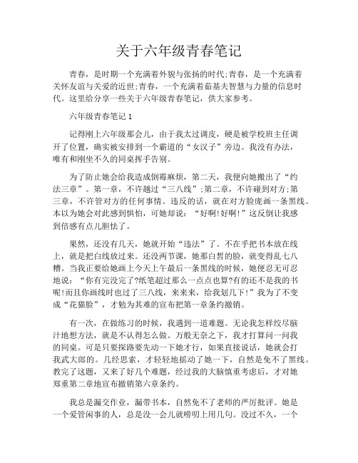 关于六年级青春笔记