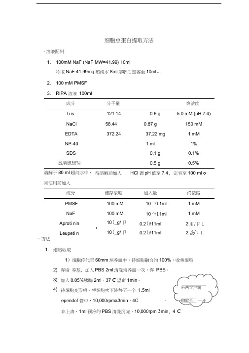 细胞总蛋白提取方法