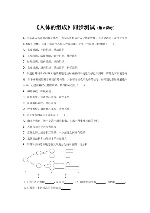 苏科版七年级生物下册同步测试 人体的组成(第2课时)