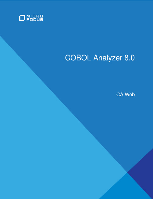 COBOL Analyzer 8.0 CA Web Micro Focus 安装指南说明书