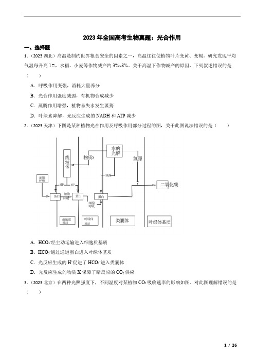 2023年高考生物真题分类：光合作用(全国通用)