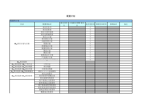 配置管理计划