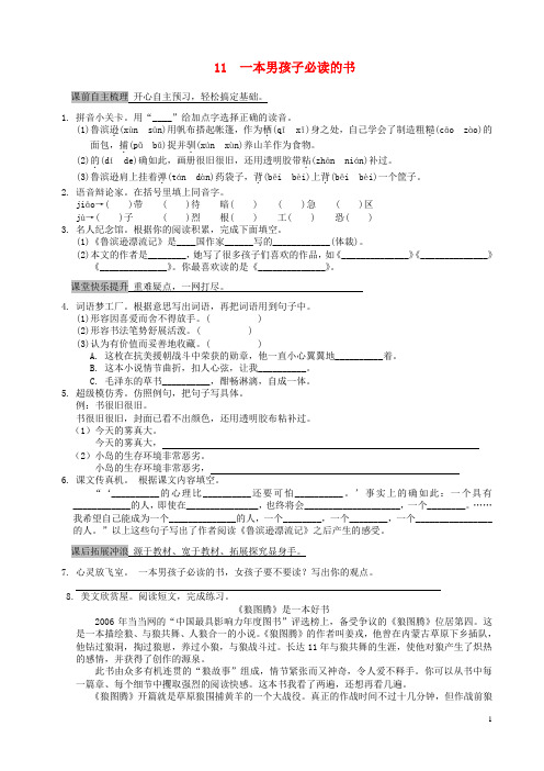 六年级语文上册 11《一本男孩子必读的书》课课练 苏教版
