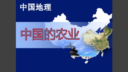 高考一轮复习区域地理中国地理中国的农业(共28张PPT)