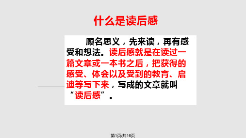 小学读后感PPT课件