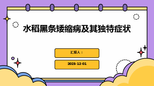 水稻黑条矮缩病及其独特症状