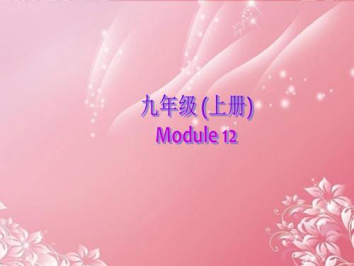 九年级英语上册 Module 12 Summer in LA Unit 3 Language in use课件 外研版