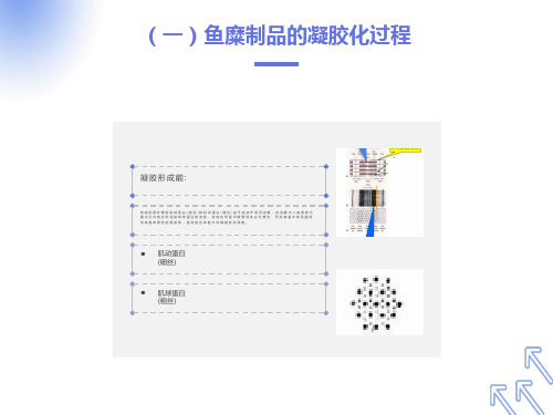 项目四鱼糜加工技术