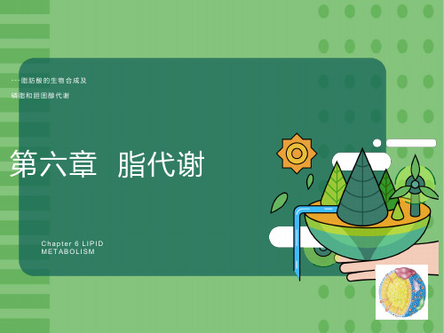 脂肪酸的生物合成1-3-ppt