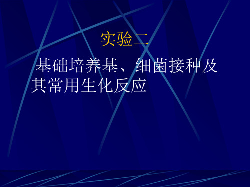 (病原生物与免疫学实验)实验二基础培养基、细菌接种及  其常用生化反应