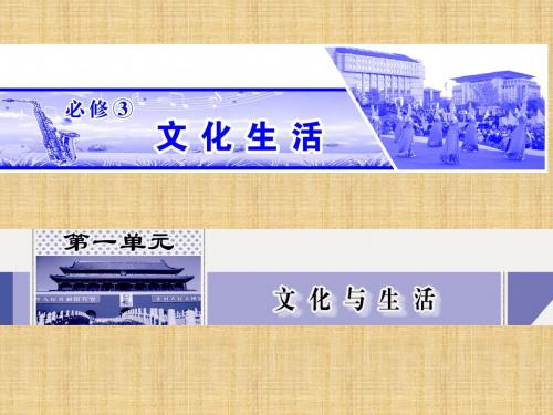 高考政治一轮复习 1.1文化与社会名师课件 新人教必修3