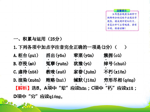 【金榜学案】九年级语文下册 期中综合检测新课标配套课件(独具卷) 语文