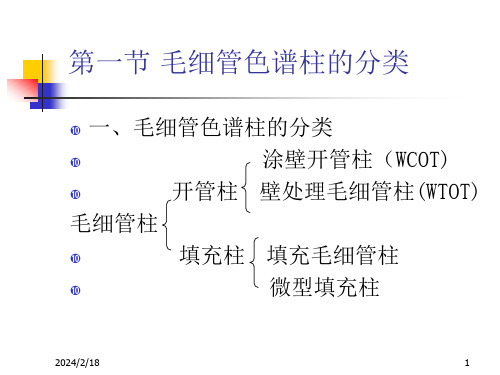 毛细管气相色谱分析法