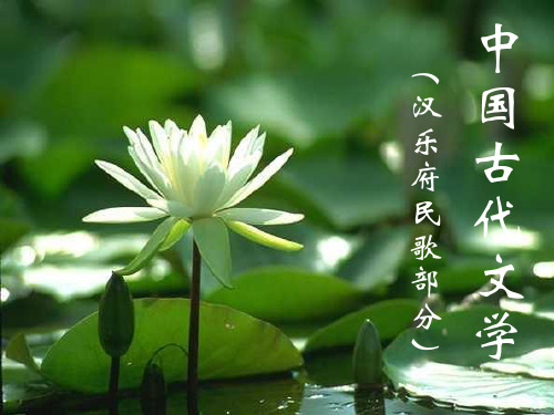 中国古代文学 两汉文学(乐府)课件(1)
