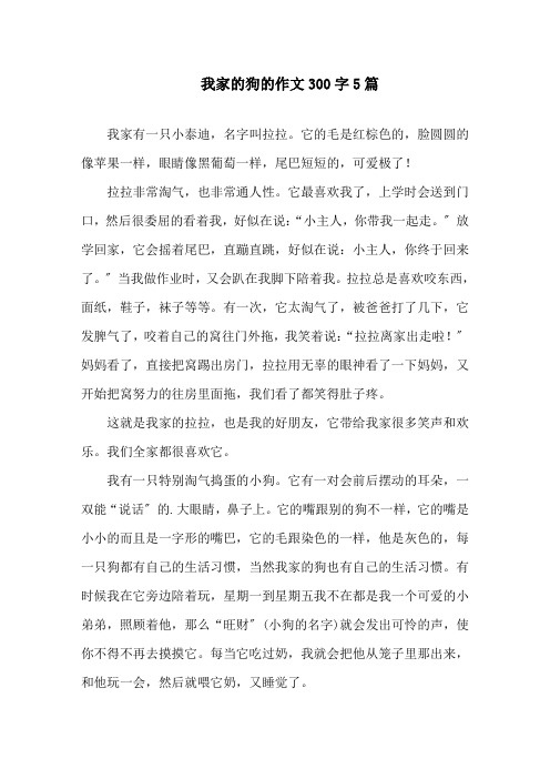 我家的狗的作文300字5篇精选