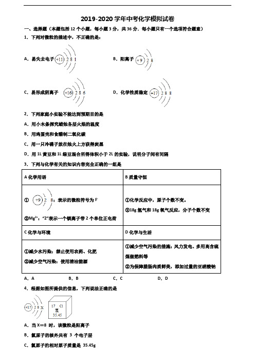 四川省攀枝花市2020年中考化学达标测试试题