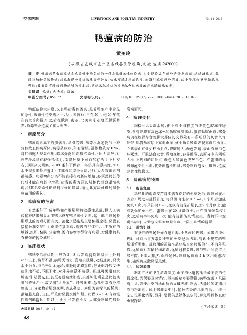 鸭瘟病的防治